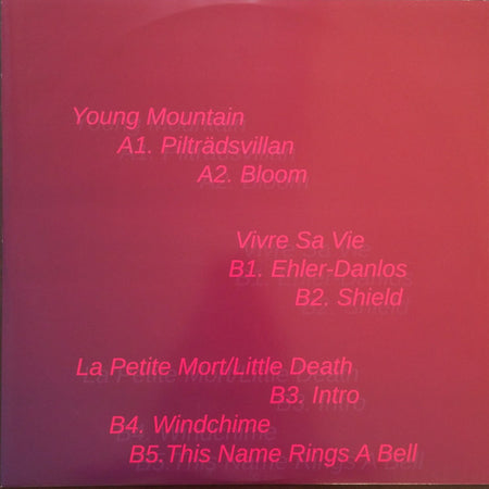 Young Mountain (2) / Vivre Sa Vie / La Petite Mort_Little Death : Three Way Split (12")