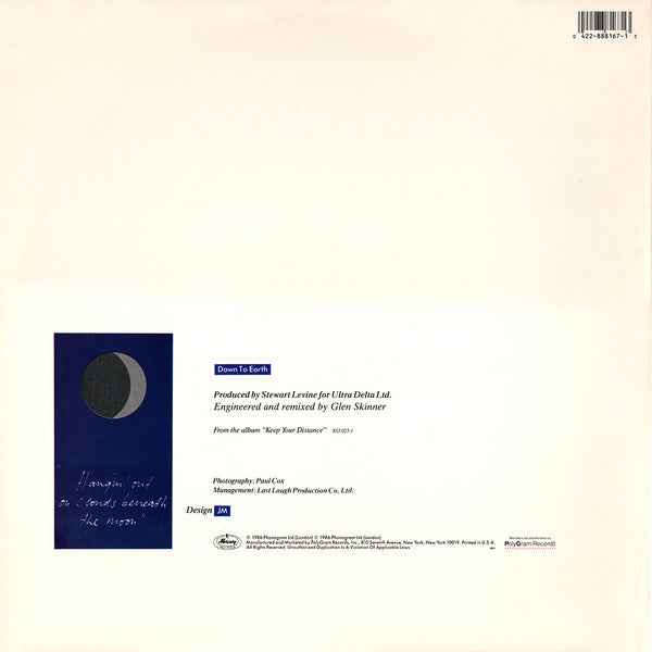 Curiosity Killed The Cat - Down To Earth (12") (Near Mint (NM or M-))