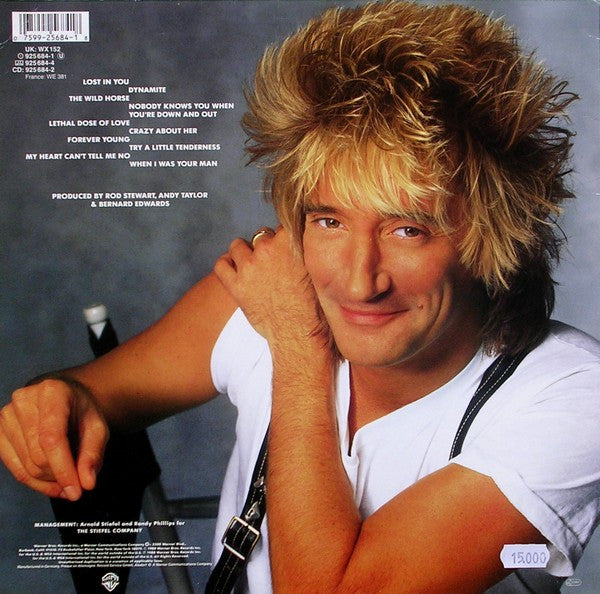 Rod Stewart : Out Of Order (LP, Album)