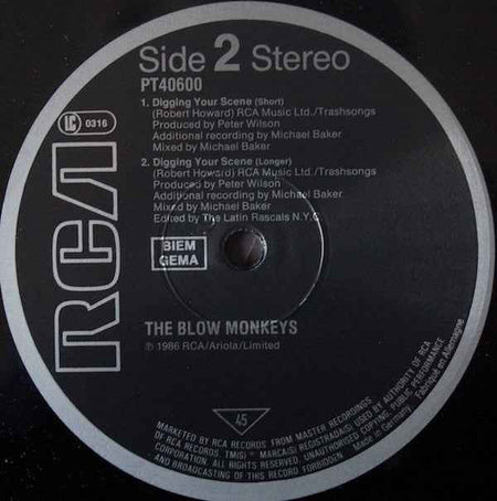 The Blow Monkeys - Digging Your Scene (12") (Near Mint (NM or M-))
