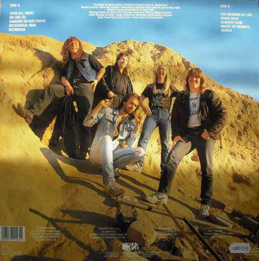 Tankard - The Meaning Of Life (LP) (Near Mint (NM or M-))