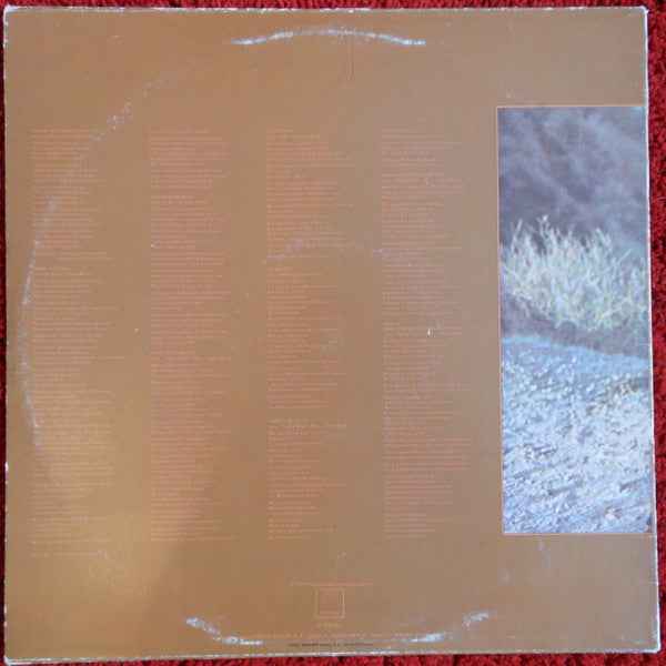 Stevie Wonder - Talking Book (LP) (Very Good Plus (VG+))