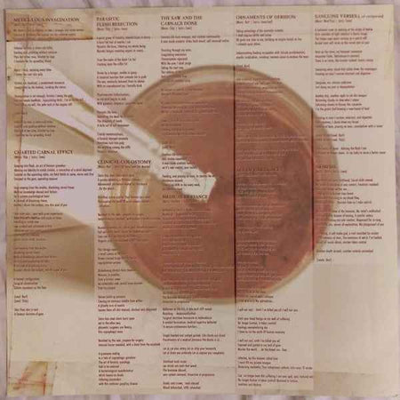 Aborted - Goremageddon: The Saw And The Carnage Done (LP) (Very Good Plus (VG+))