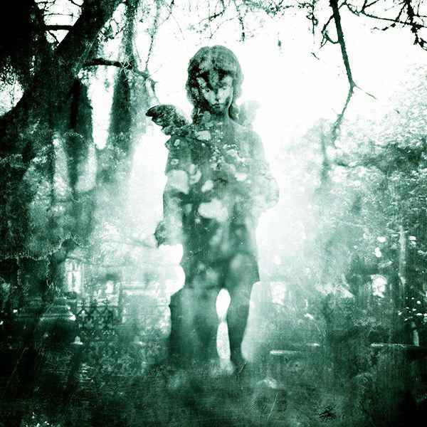 Machine Head  - Through The Ashes Of Empires (LP) (Near Mint (NM or M-))