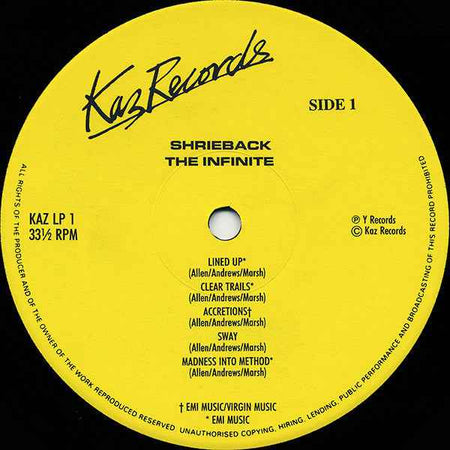 Shriekback - The Infinite (LP) (Very Good Plus (VG+))