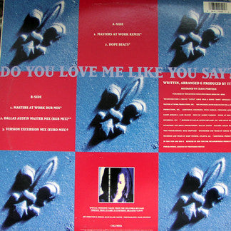 Terence Trent D'Arby : Do You Love Me Like You Say? (12", Single)