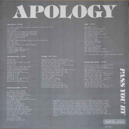 Apology - Pass You By (12") (Mint (M))