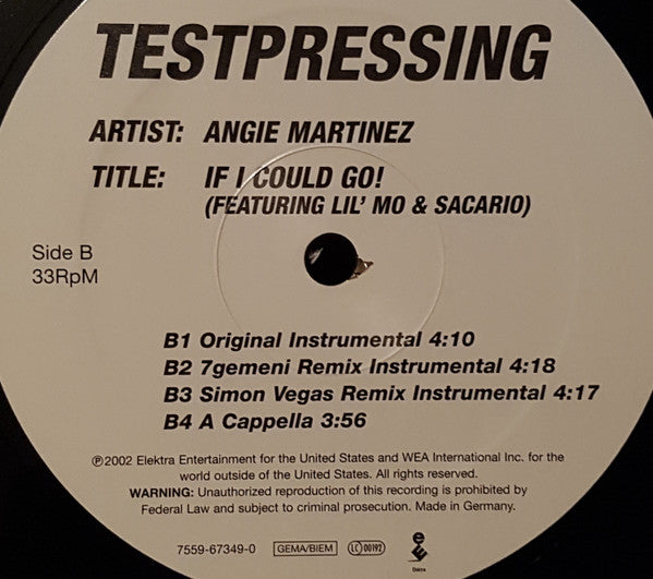 Angie Martinez Featuring Lil' Mo & Sacario : If I Could Go! (12", TP)