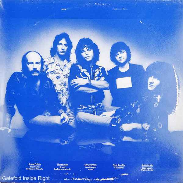 REO Speedwagon - You Get What You Play For (2xLP) (Near Mint (NM or M-))