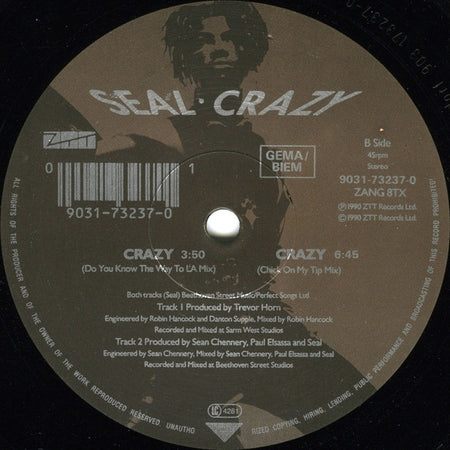 Seal : Crazy (The William Orbit Remix) (12", Single)