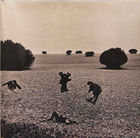 Rainbirds - Call Me Easy Say I'm Strong Love Me My Way It Ain't Wrong (LP) (Near Mint (NM or M-))