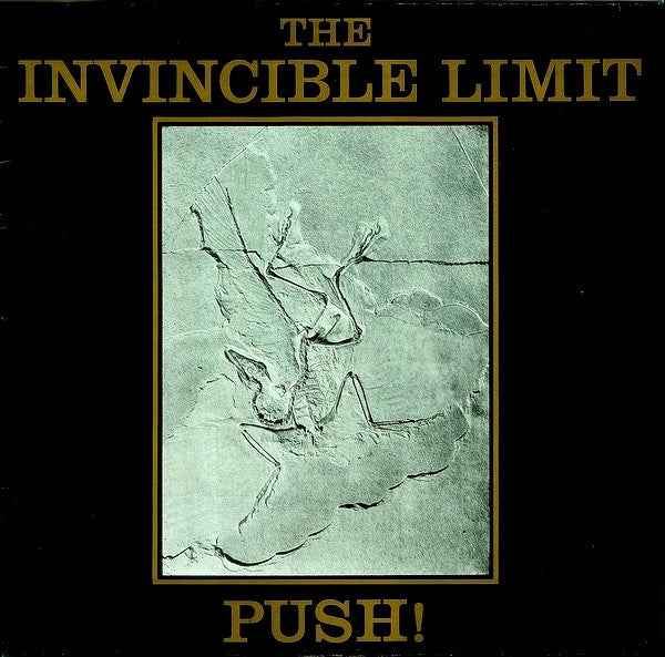 The Invincible Limit - Push! (12") (Near Mint (NM or M-))