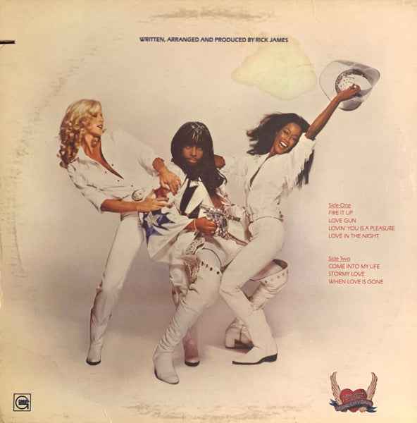 Rick James - Fire It Up (LP) (Very Good Plus (VG+))