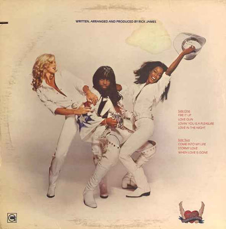 Rick James - Fire It Up (LP) (Very Good Plus (VG+))