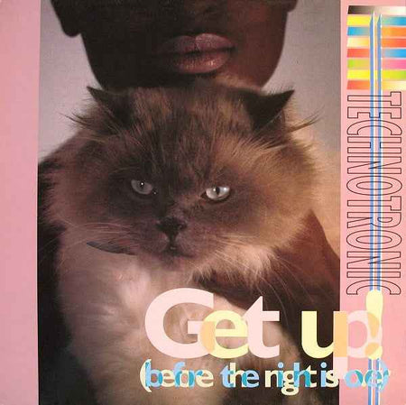 Technotronic - Get Up! (Before The Night Is Over) (12") (Near Mint (NM or M-))