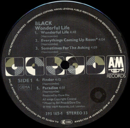 Black (2) : Wonderful Life (LP, Album)